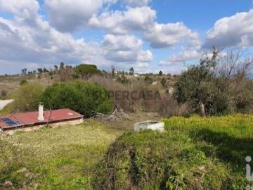 Terreno Agrícola em Seixo da Beira