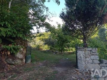 Terreno Agrícola em Sendim