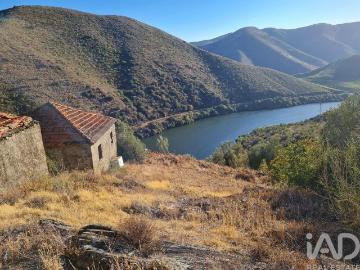 Terreno Agrícola em Urros e Peredo dos Castelhanos