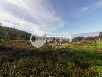 Terreno Agrícola em Vale São Martinho, Vila Nova de...