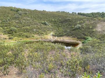 Terreno, Ameixial