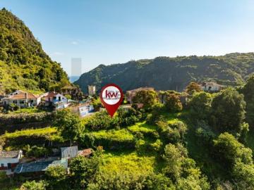 Terreno c/ Ruína 11900m2 | Santana, Fajã Alta