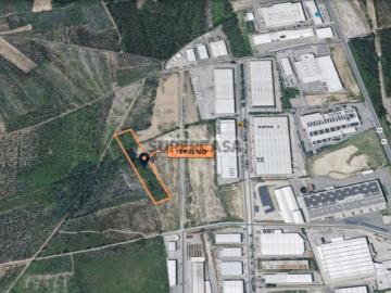 Terreno com 6.018 m² em Albergaria a Velha | Zona...