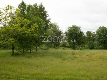 Terreno com 7.293 m² Indústria e Comércio EN17 Santiago Seia