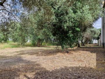 Terreno com 915m2 em Ortigosa,Leiria
