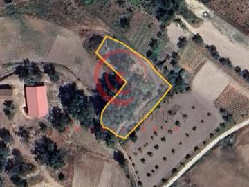 Terreno com 1499m2 na Pastoria, Redondelo, Chaves, Portugal