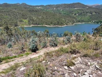 Terreno com 3 ha junto à barragem de Ribeiradio