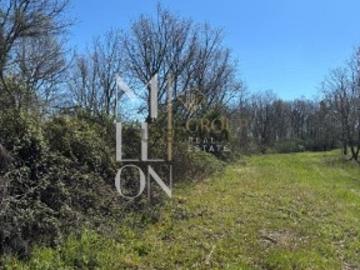Terreno com 3 hectares às portas da cidade da Guarda