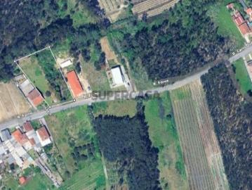 Terreno com viabilidade de construção em Malhapão