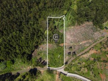 Terreno com Vista Mar e Viabilidade de Construção para...