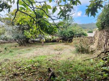 Terreno com Anexo em Pedra em Samonde Santa Marta de...