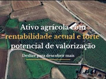 Terreno para investimento com rentabilidade +9%