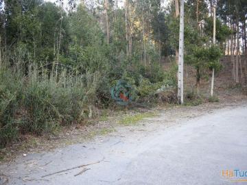 Terreno composto por Pinhal | 26083481018