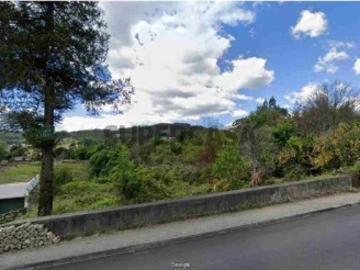 Terreno de cultura com citrinos