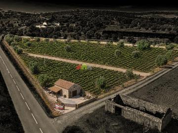 Terreno de 0,5ha com Olival e Potencial Turístico – Vila...