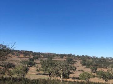 Terreno de 181225 m2 Santiago do Cacém, Portugal