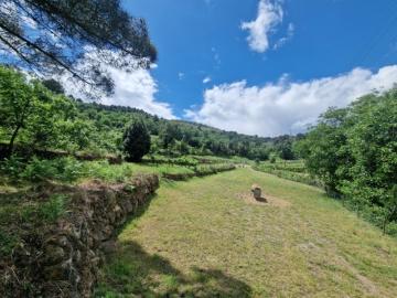 Terreno de 10.000 m2 em Parada de Cunhos, Vila Real