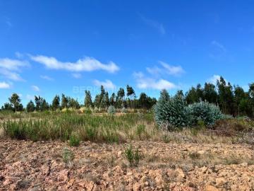 Terreno de 2178 m2 à venda Torres Vedras, Lisboa