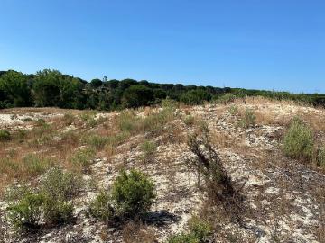 Terreno de 500 m2 à venda Grândola, Portugal