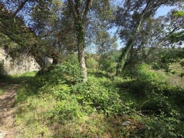 Terreno, Dornelas