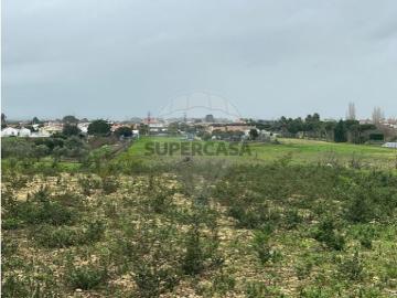 Terreno em Marinhais