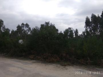 Terreno em Mira