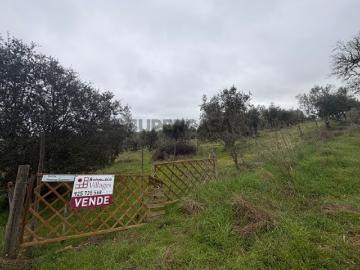Terreno em Barbacena e Vila Fernando