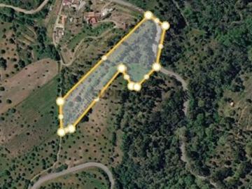 Terreno em Mouriscas