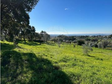 Terreno em Mouriscas