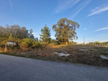 Terreno em Mouronho