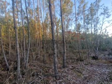 Terreno em Mouronho
