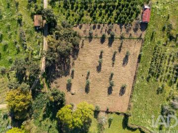 Terreno em Ovoa e Vimieiro