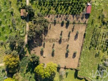 Terreno em Ovoa e Vimieiro