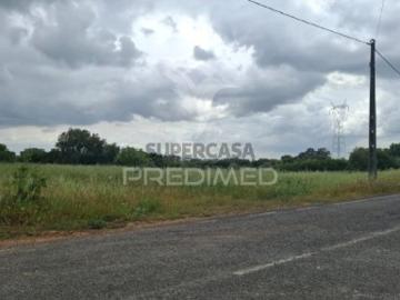 Terreno em Achete, Azoia de Baixo e Póvoa de Santarém