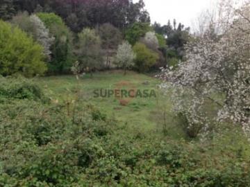 Terreno em Adaúfe