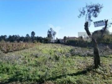 Terreno em Águeda
