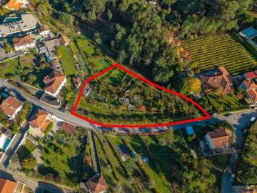 Terreno em Amarante São Gonçalo, Madalena, Cepelos e Gatão