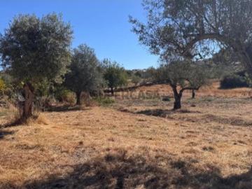 Terreno em Aranhas