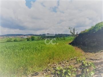 Terreno em Balazar