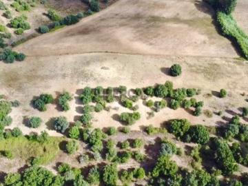 Terreno em Brogueira 20.000m2 Projeto Aprovado +...