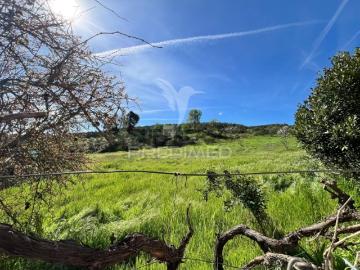 Terreno em Carvalhais