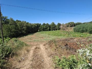 Terreno em Cerejo