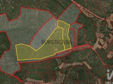 Terreno em Chãos