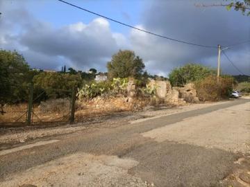 Terreno em Estoi