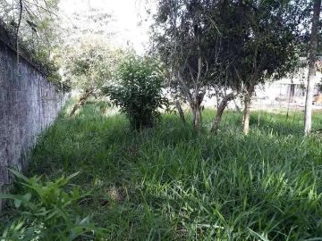 Terreno em Condomínio para Venda em Cotia/SP Jardim...