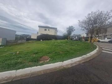 Terreno em Condomínio para Venda em Santana de...