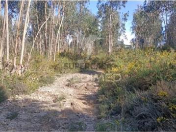 Terreno em Coronado São Romão e São Mamede