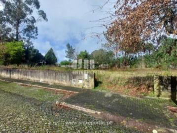 Terreno em Forjães