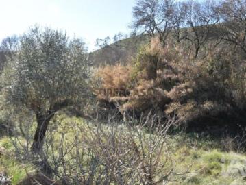 Terreno em Freixianda, Ribeira do Fárrio e Formigais de...