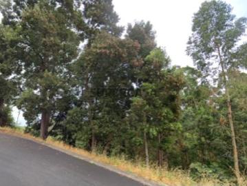 Terreno em Gaula
